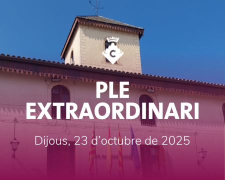 Ple Extraordinari Octubre