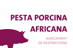 Aixecament restriccions PPA