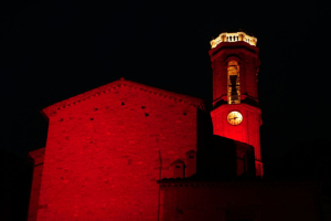 Dia Mundial de les Cardiopaties Congènites