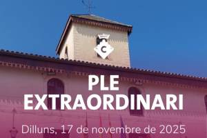 Ple Extraordinari Novembre