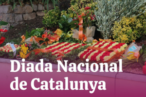 Diada Nacional de Catalunya 2026