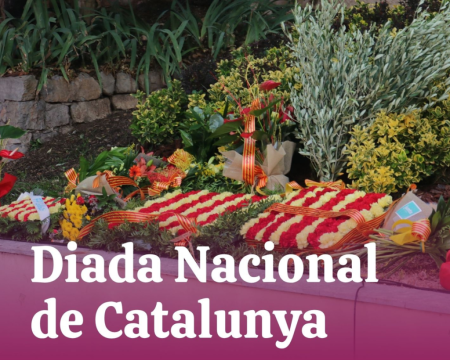Diada Nacional de Catalunya 2026
