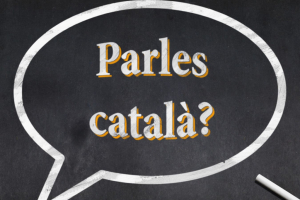 Cursos Català 2026