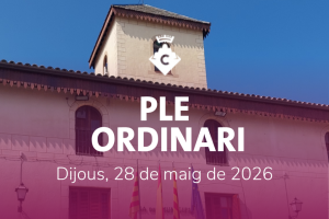 Ple Ordinari Maig