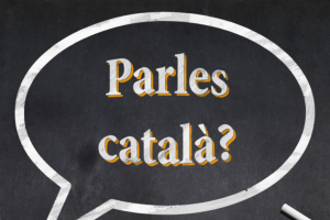 Cursos Català 2026