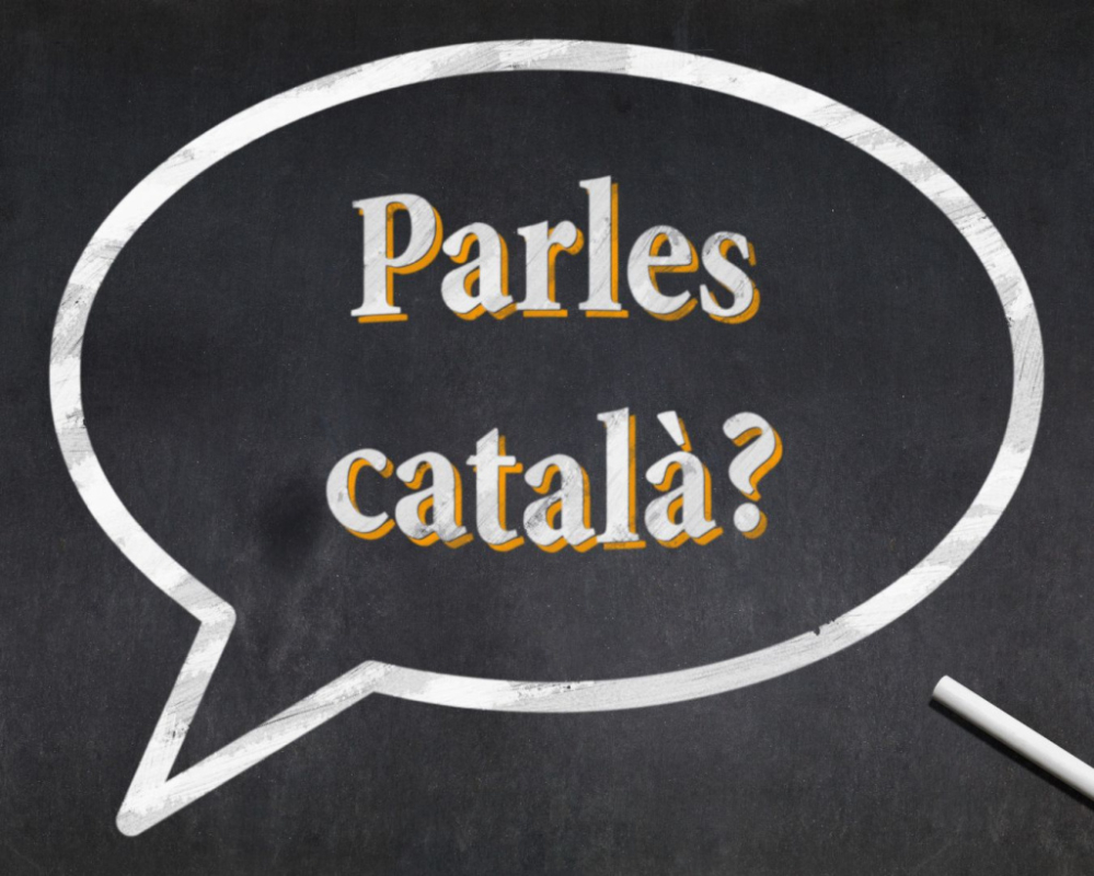 Cursos Català 2025
