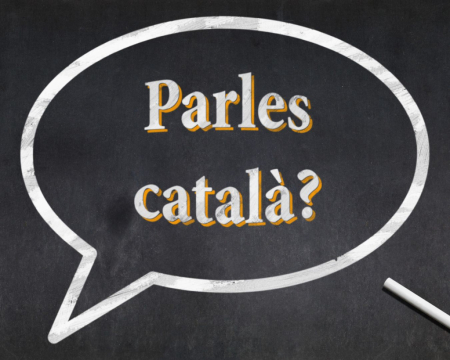 Cursos Català 2025