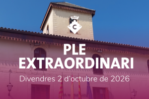 Ple Extraordinari Octubre