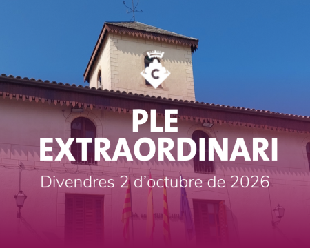 Ple Extraordinari Octubre