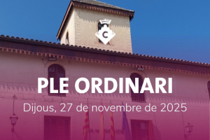Ple Ordinari Novembre