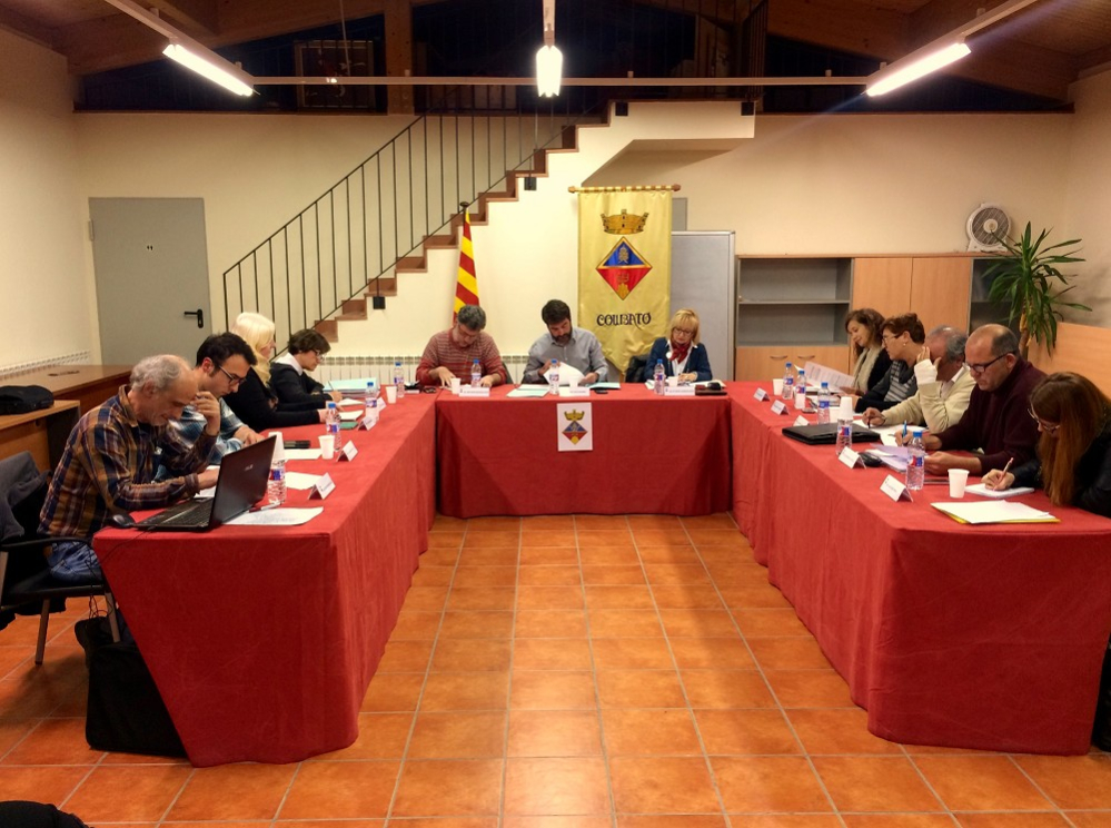 Ple Ordinari 21/03