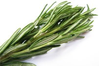 Herbes