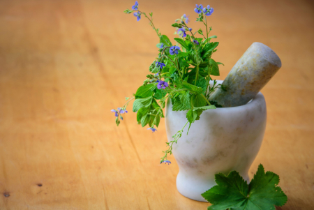 Xerrada sobre herbes remeieres, al Casal de Cultura