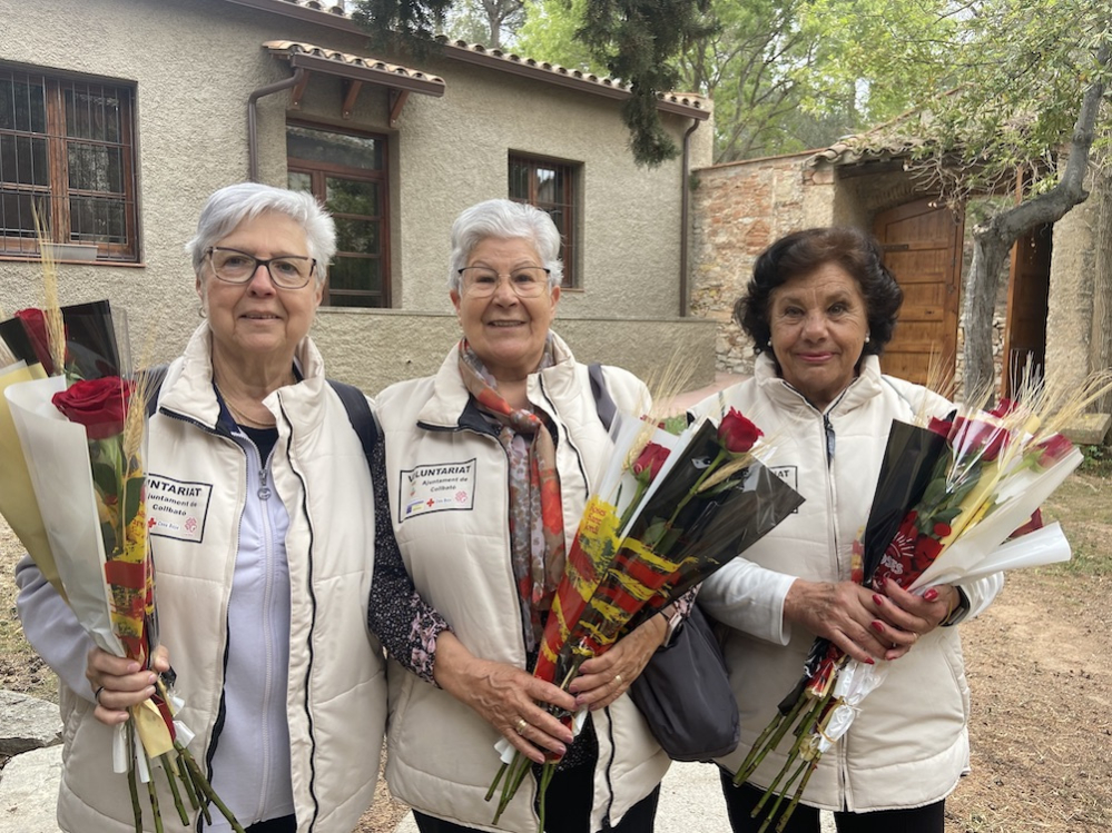 Sant jordi repartiment roses
