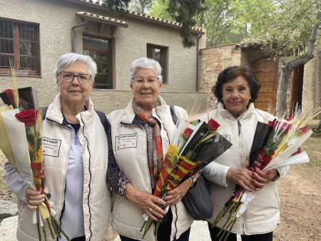 Sant jordi repartiment roses