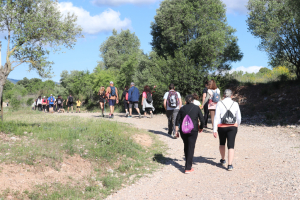 Caminada de les Dones Oberta a Tothom
