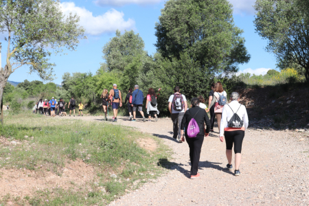 Caminada de les Dones Oberta a Tothom