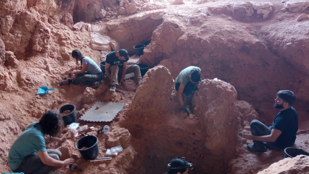 Excavacions 2022