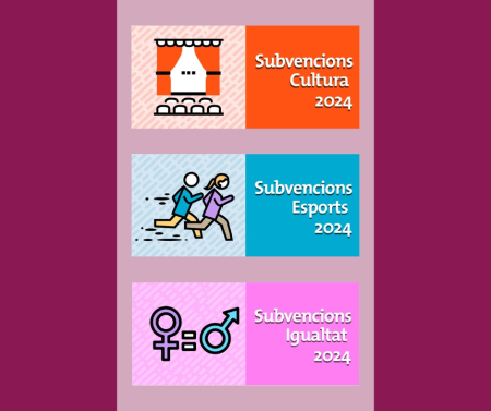 Subvencions