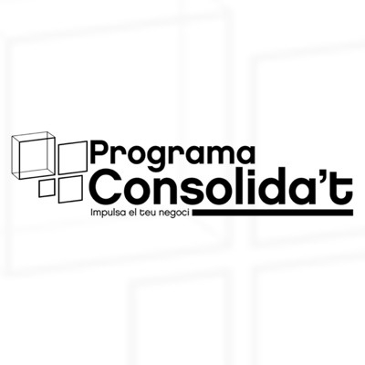 Programa Consolida't