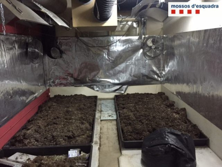 Instal·lació per cultivar la marihuana