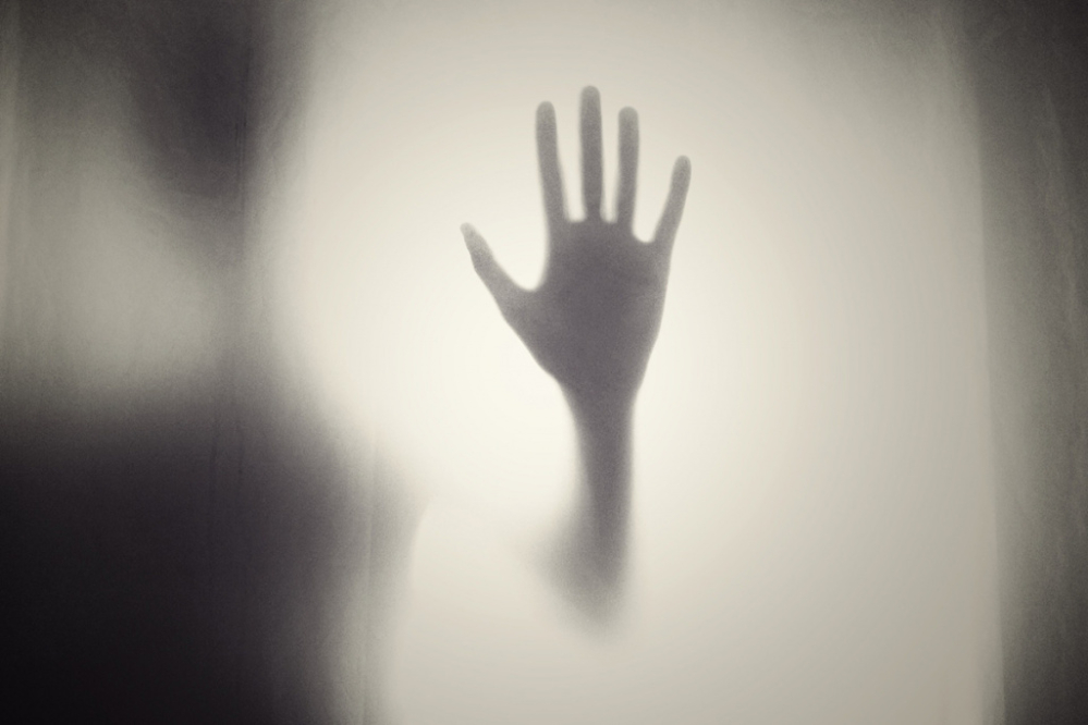 La Biblioteca dels Monstres, el túnel del terror de la Biblioteca de Collbató