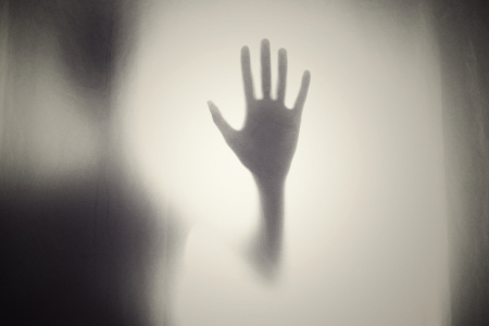 La Biblioteca dels Monstres, el túnel del terror de la Biblioteca de Collbató