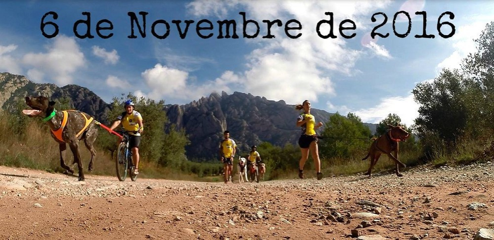 Mushing i canigross, a Collbató
