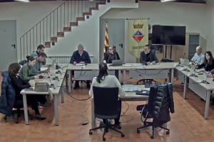 Ple Extraordinari 29 de desembre