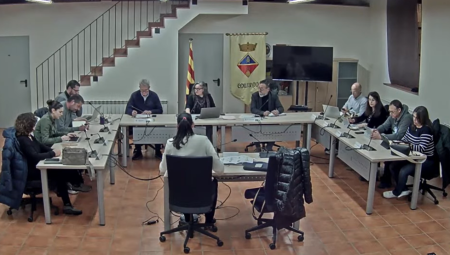 Ple Extraordinari 29 de desembre