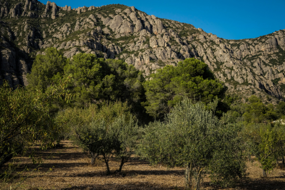 Dimarts, 17 d'abril, sessió territorial sobre el Parc Rural, al Bruc