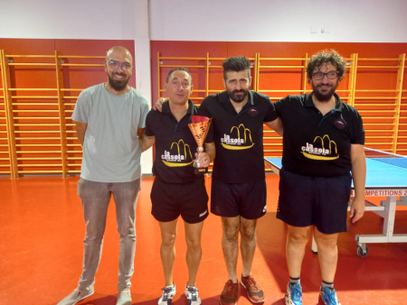 Torneig ping pong