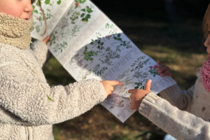 Projecte "Matins de bosc", premi experiència innovadora