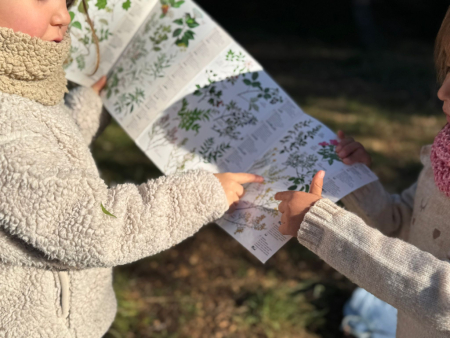 Projecte "Matins de bosc", premi experiència innovadora