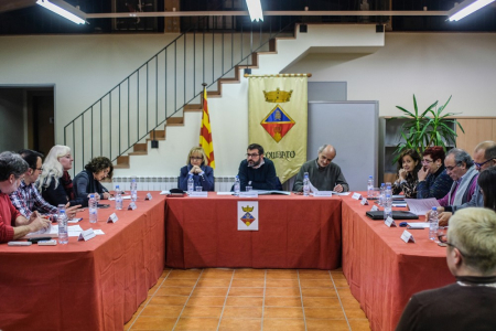 Ple ordinari de l'Ajuntament del 16 de gener del 2017