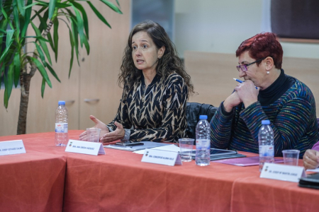 Ple ordinari de l'Ajuntament del 16 de gener del 2017