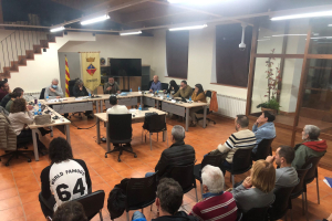 Ple ordinari, 28 de novembre de 2025