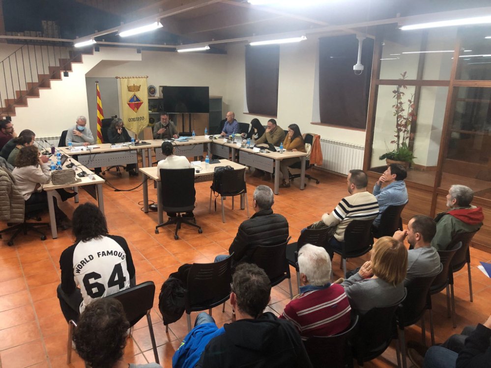 Ple ordinari, 28 de novembre de 2025