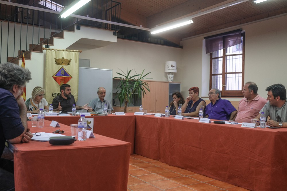 Ple ordinari del 17 de juliol de 2017