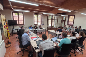 Ple municipal, 24 de setembre de 2026