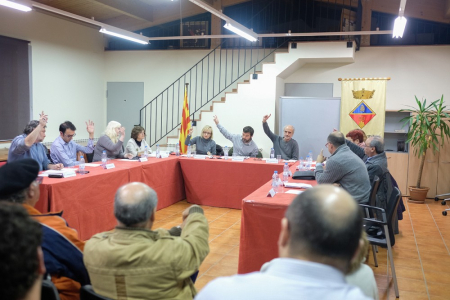 Votació unànime a la moció per l'eliminacio de la violència envers les dones