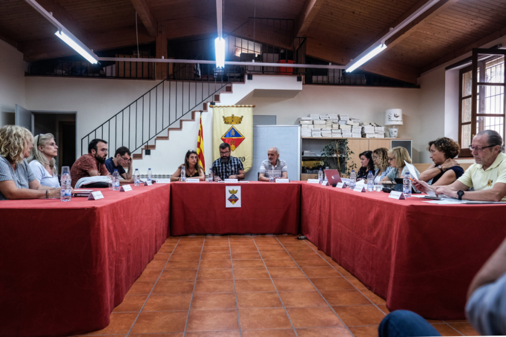 Ple extraordinari del 8 de juliol de 2019.