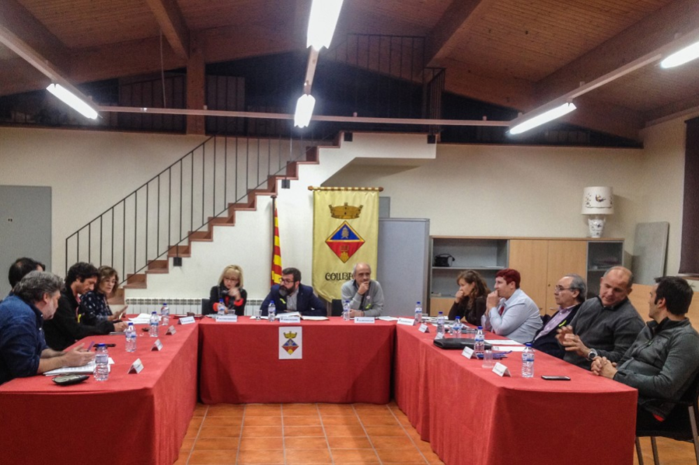 Ple extraordinari del 30 d'octubre