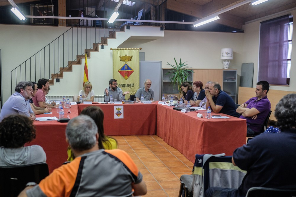 Ple Ordinari del 22 de maig de 2017