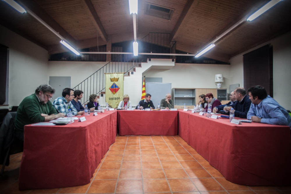 Ple ordinari del 20 de novembre de 2017