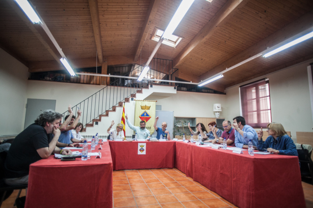 Votació al Ple Ordinari del mes de maig