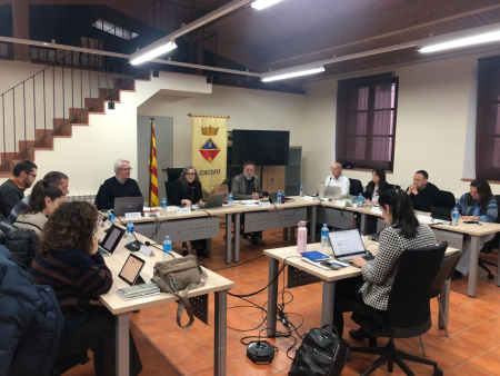 Ple ordinari de 29 de gener de 2026