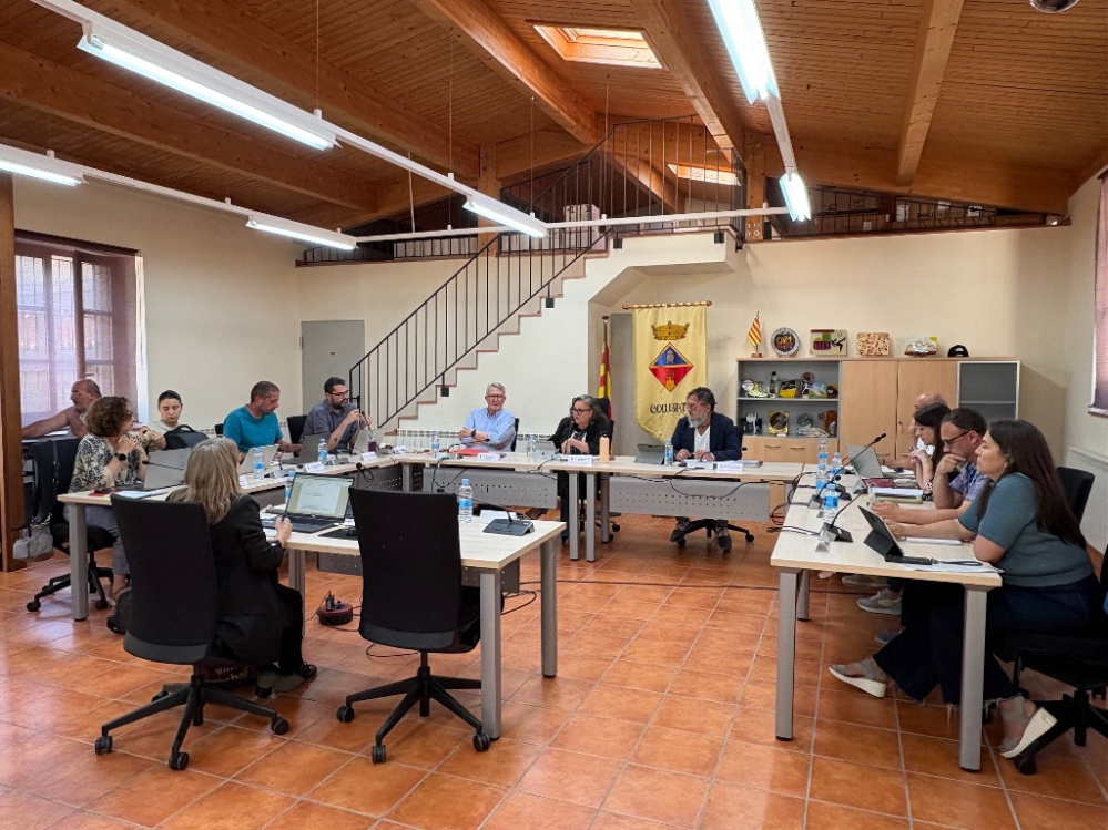 Ple ordinari de 29 maig de 2025