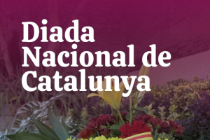 Diada Nacional de Catalunya 2025