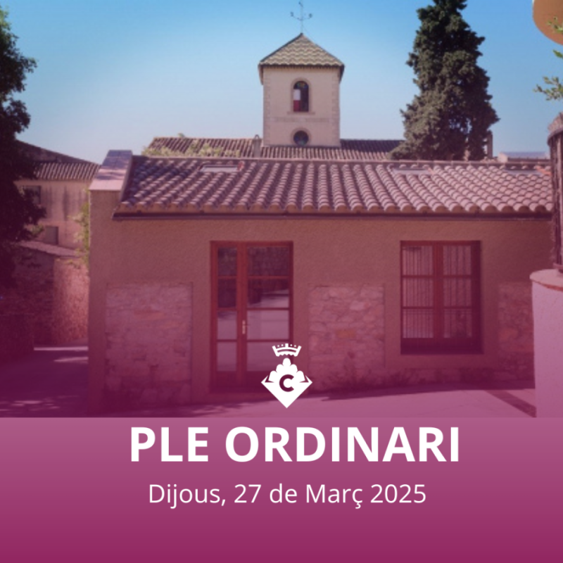 Ple març 27 2025